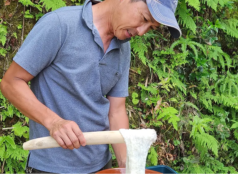 唐津 ささき農園