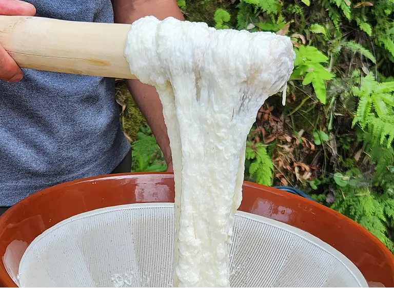 唐津 ささき農園