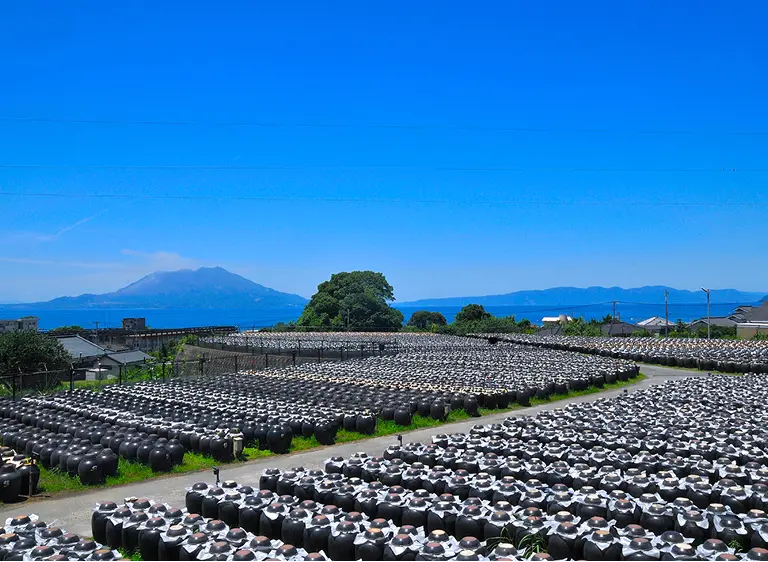 坂元醸造 株式会社