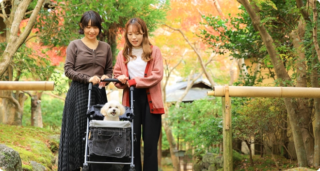 伊⾖⻑岡温泉 三養荘