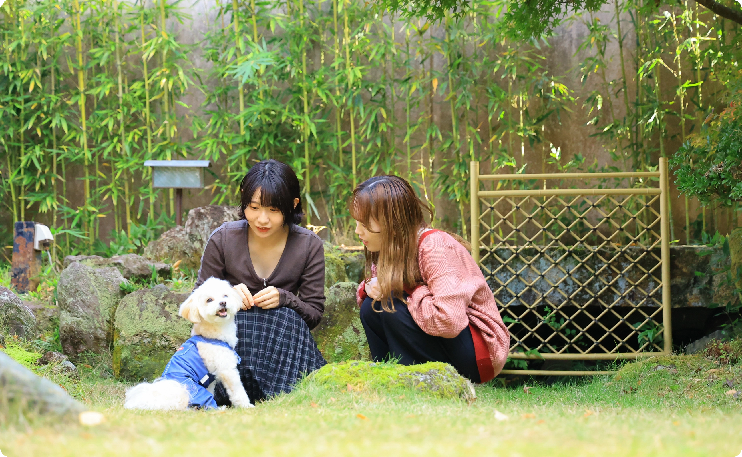 愛犬・愛猫と一緒に泊まれるホテル