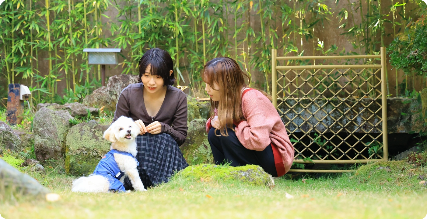 わんちゃんとおこもり旅