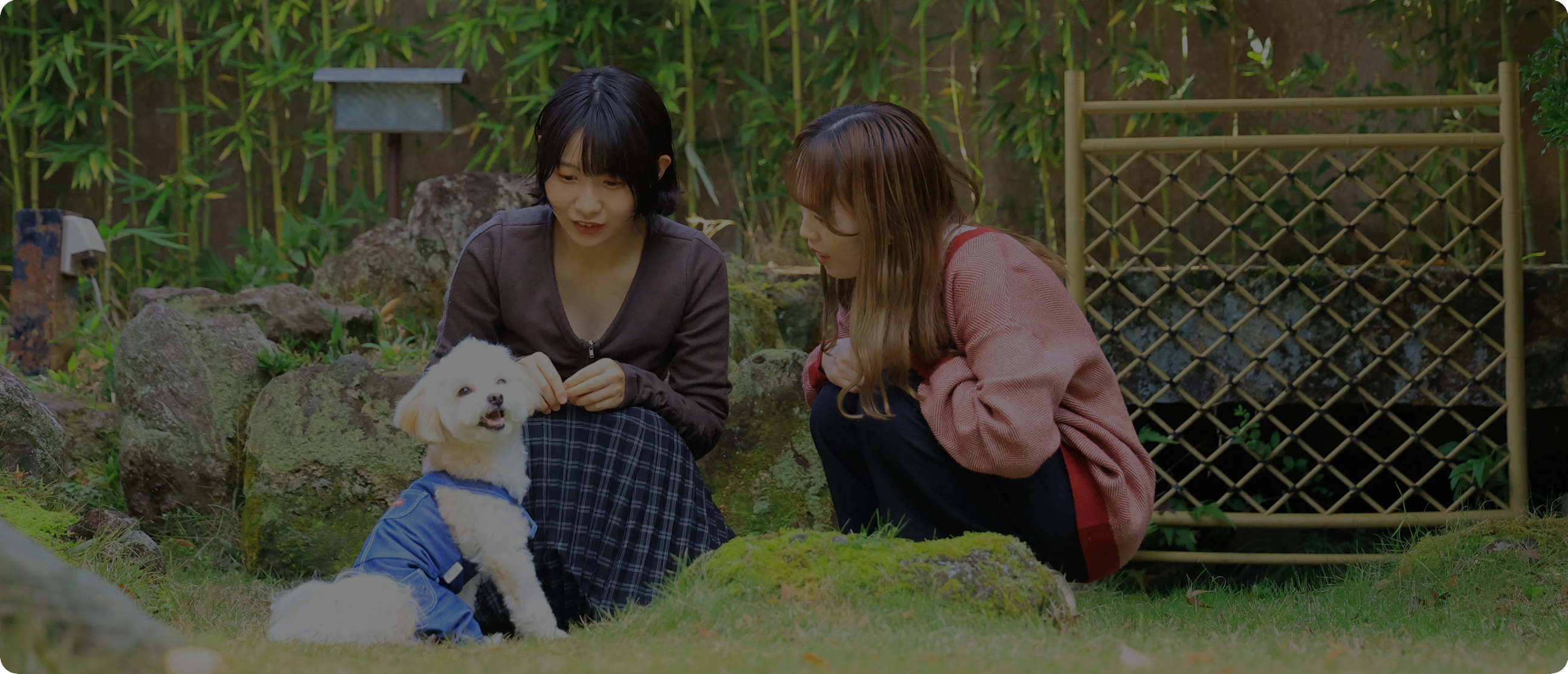 まるで離宮。由緒ある温泉宿でワンちゃんと⾄福のご滞在を。