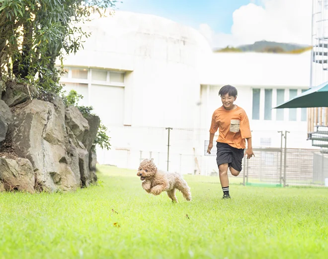 ドッグラン