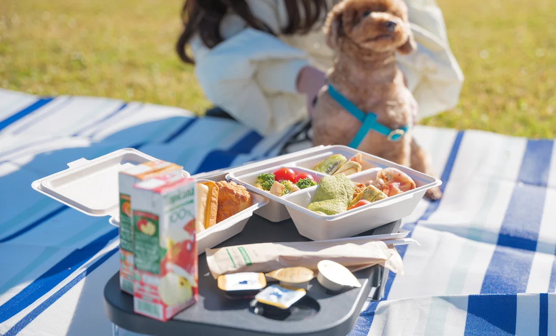 モーニングピクニック