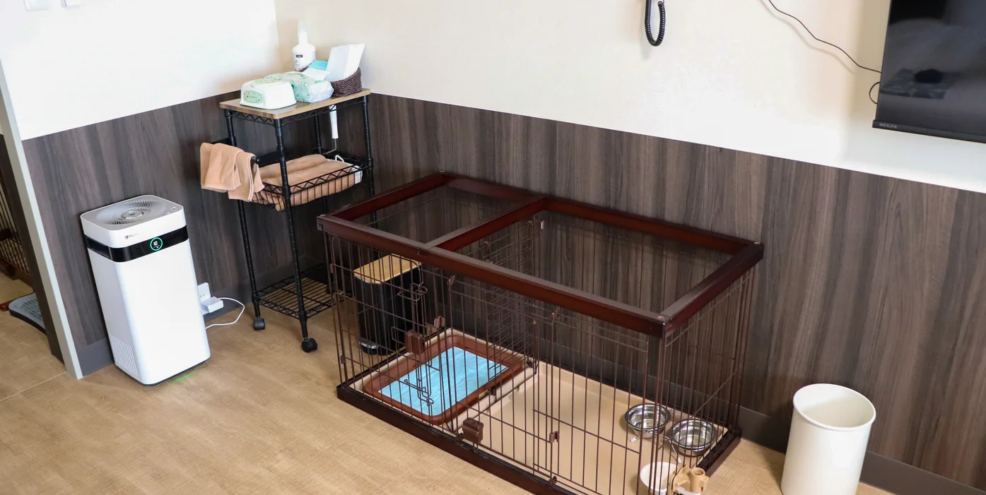 ワンちゃん⽤設備