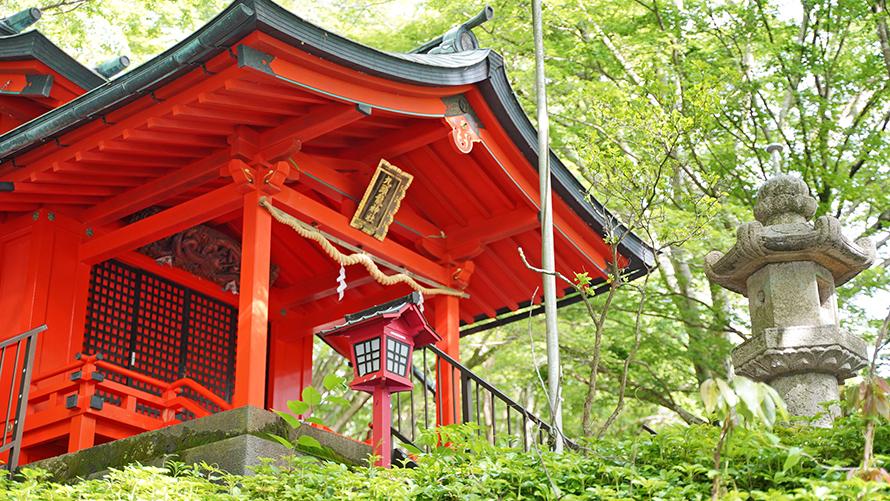 箱根九頭龍の森