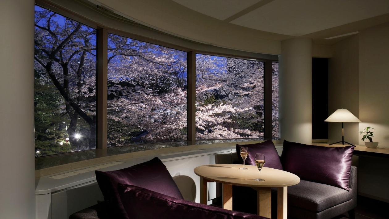 ホテルの窓辺に広がる満開の桜の夜景。