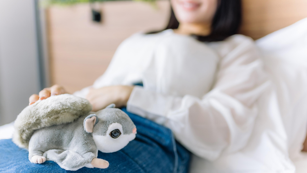 エゾの森ファミリールームステイ ～モモンガとリスに癒やされる旅～