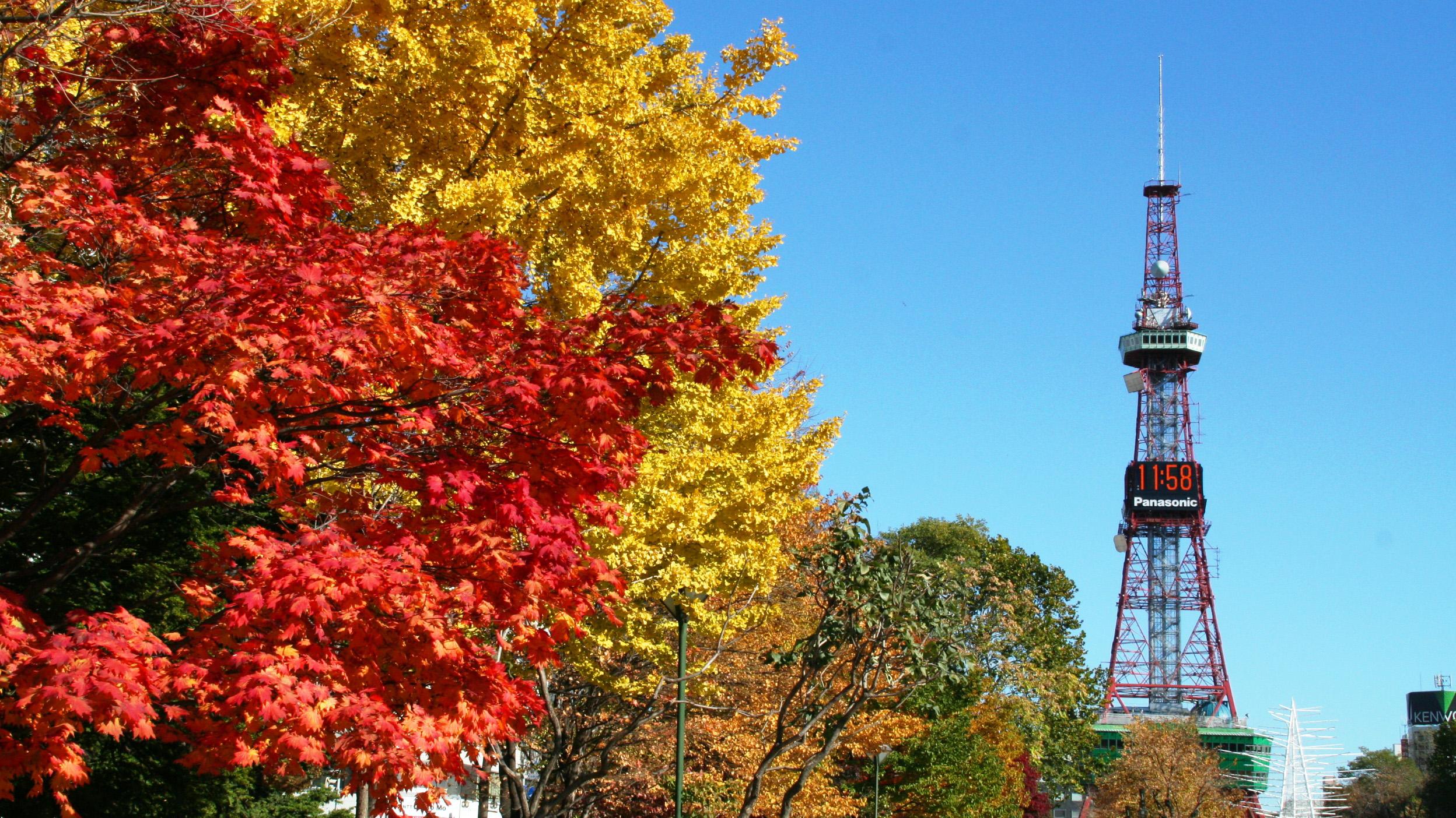 涼しく快適な秋冬の道内旅行は優待プランでお得にステイ！