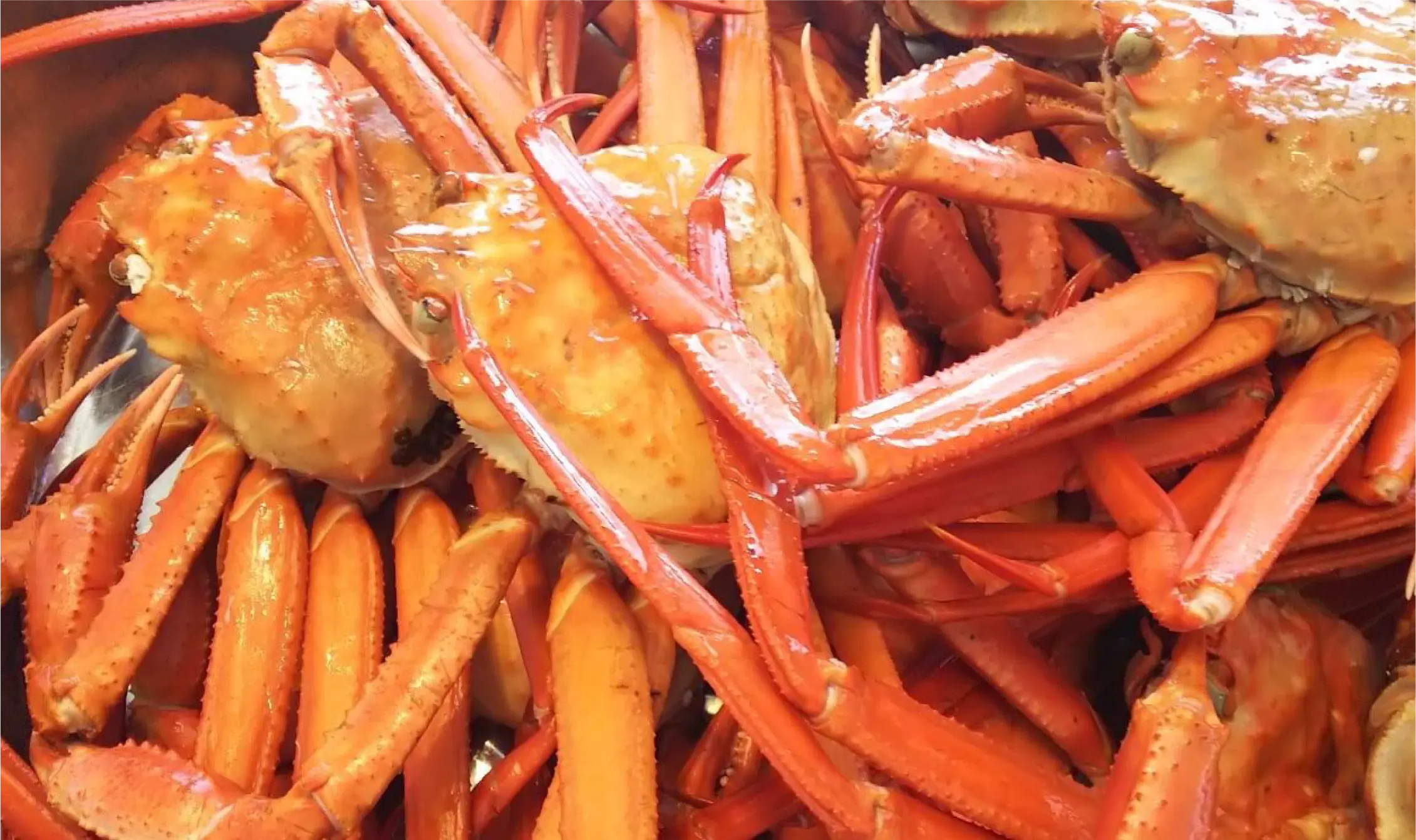 夏の北海道フェア