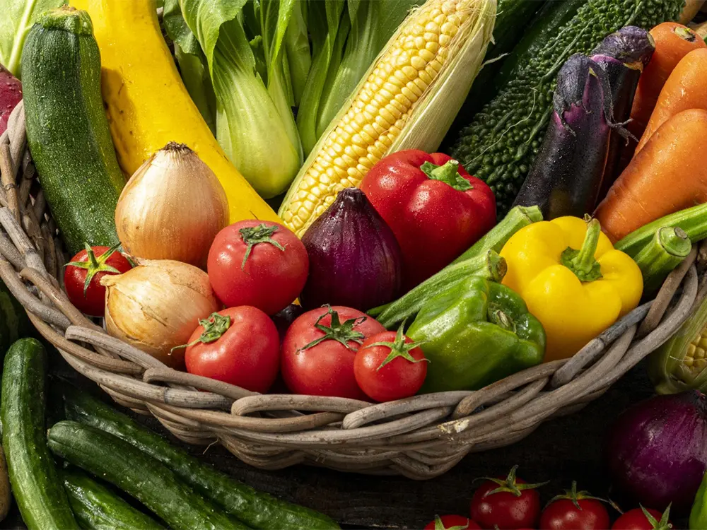 マルシェ&キッチンカー