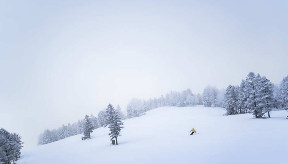 「人生最高の1本」の 特別なファーストトラックへ