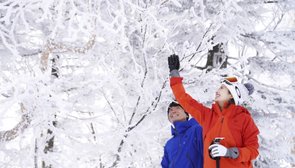 気温が裏付ける ヤケビの雪質の良さ
