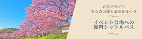 「みなみの桜と菜の花まつり」無料シャトルバス