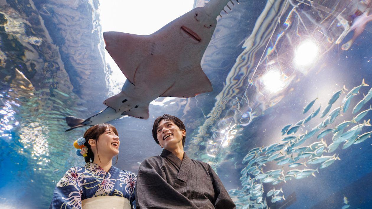 浴衣で涼やか夏旅プラン