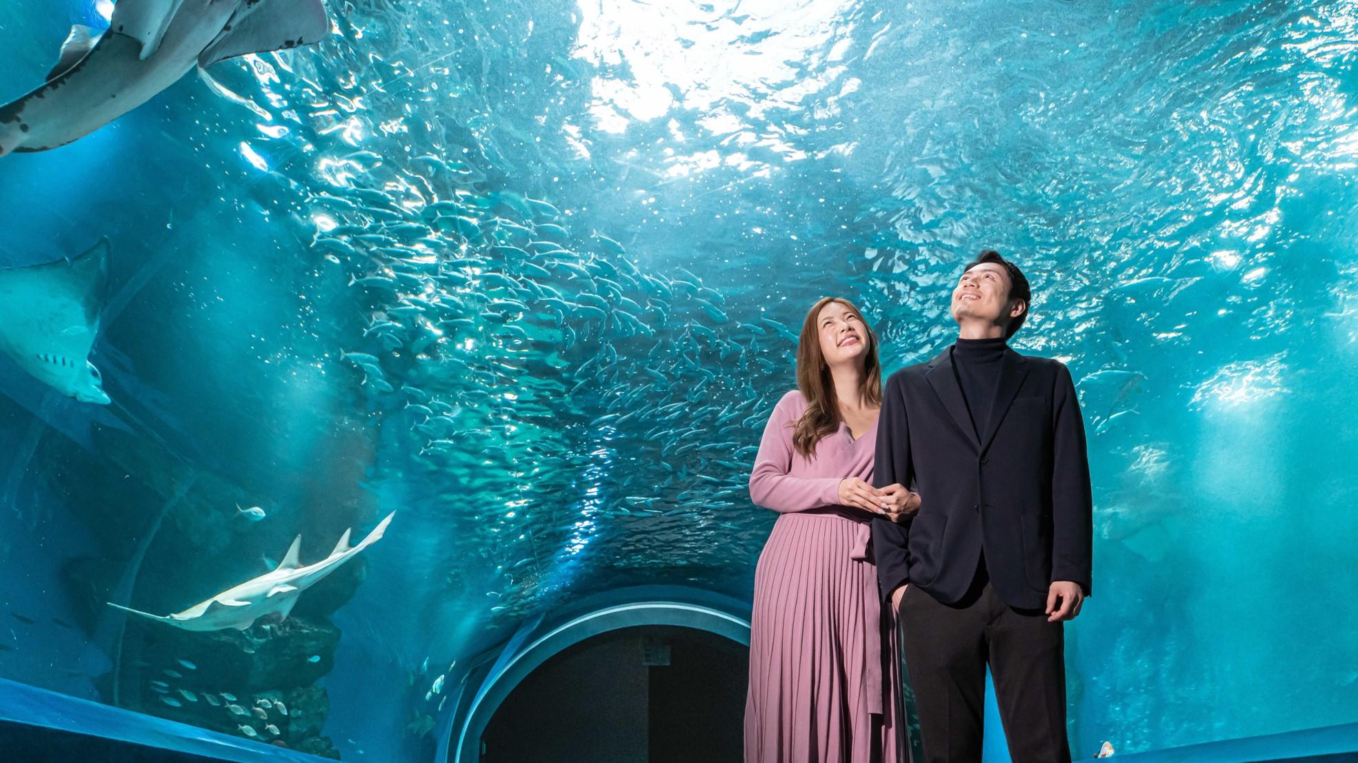 水族館「マクセル アクアパーク品川」を楽しむふたり