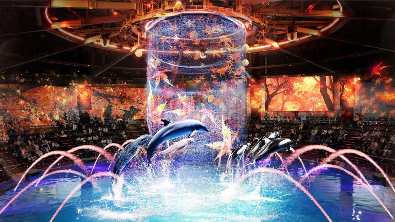 クラゲ展示の大空間「ジェリーフィッシュランブル」。音と光の演出で海の世界を彩ります