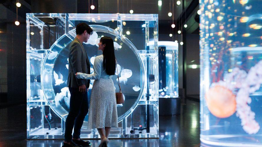 閉館後の「マクセルアクアパーク品川」でクラゲの水槽を眺めるふたり