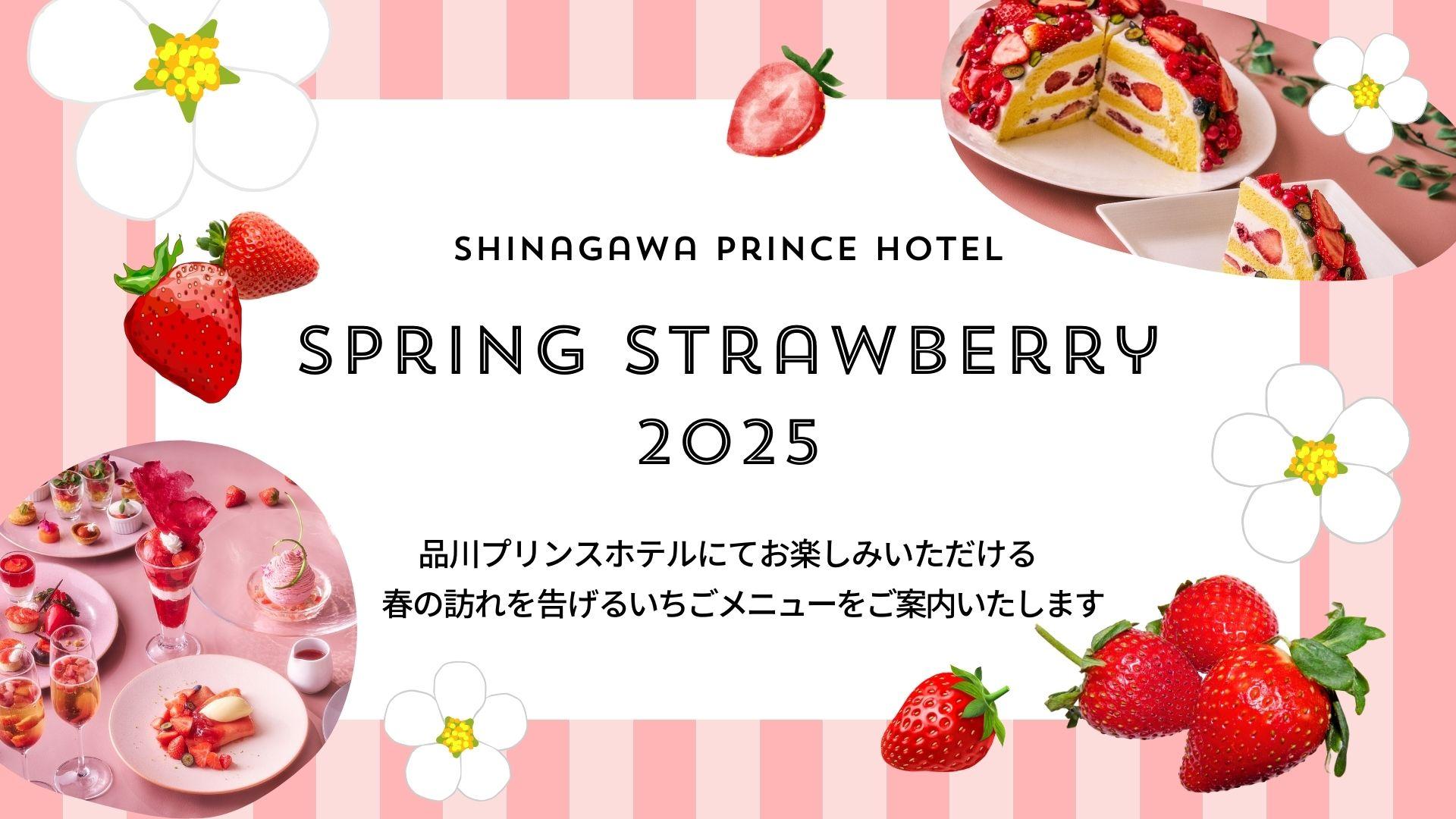 いちご様 専用ページ❣️ STRAWBERRY様専用 いちご様 専用 苺様専用