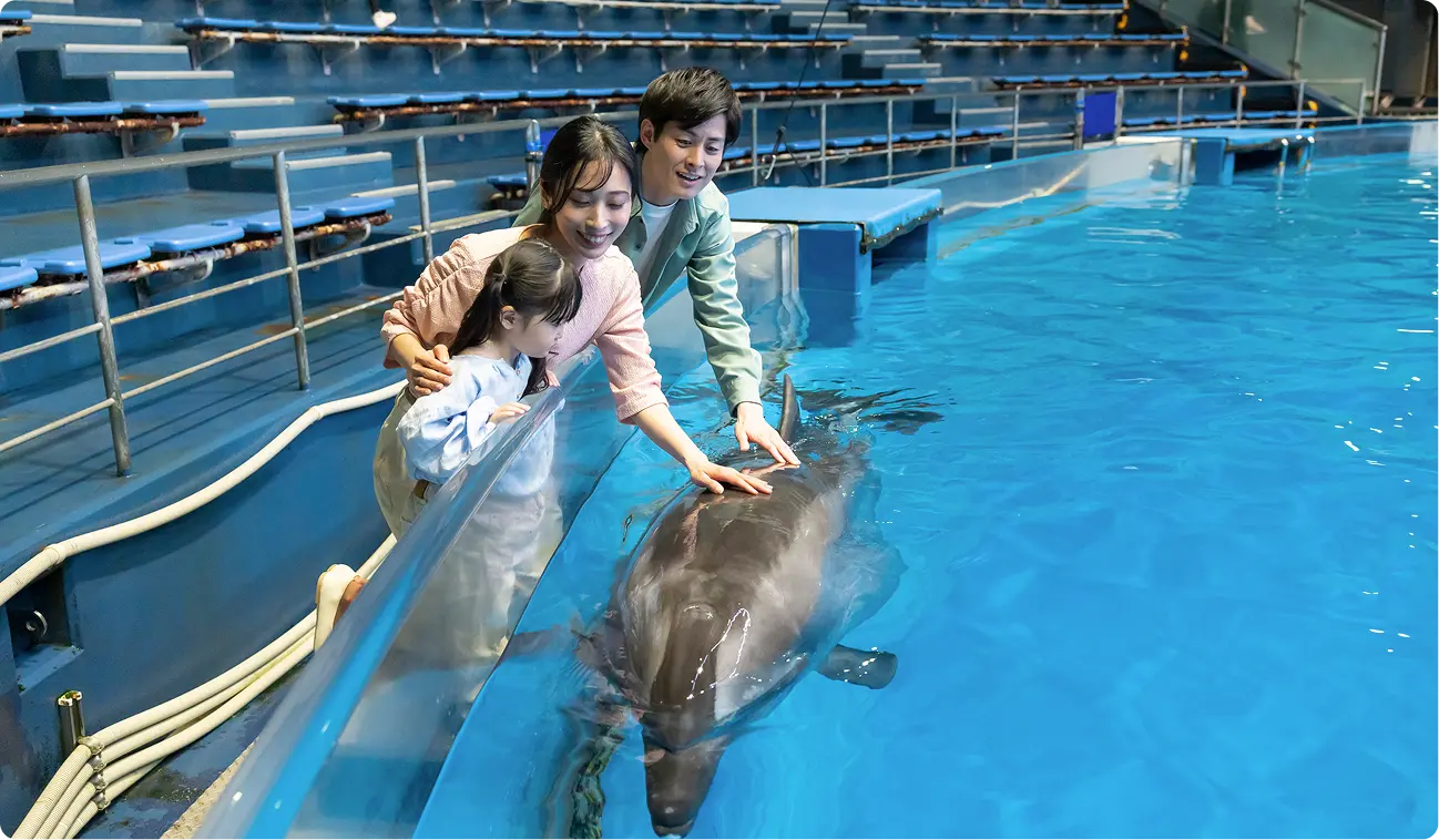 自由研究ステイ 水族館の飼育スタッフから学ぶ SDGsとスペシャルゼリー作り