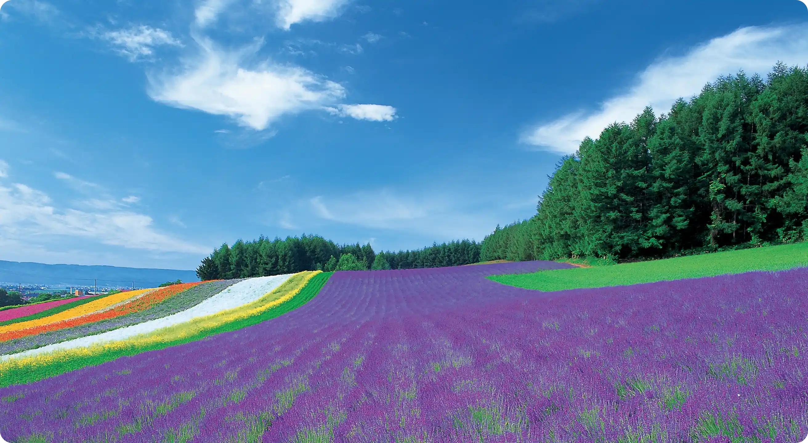 五感で感じる絶景旅の背景