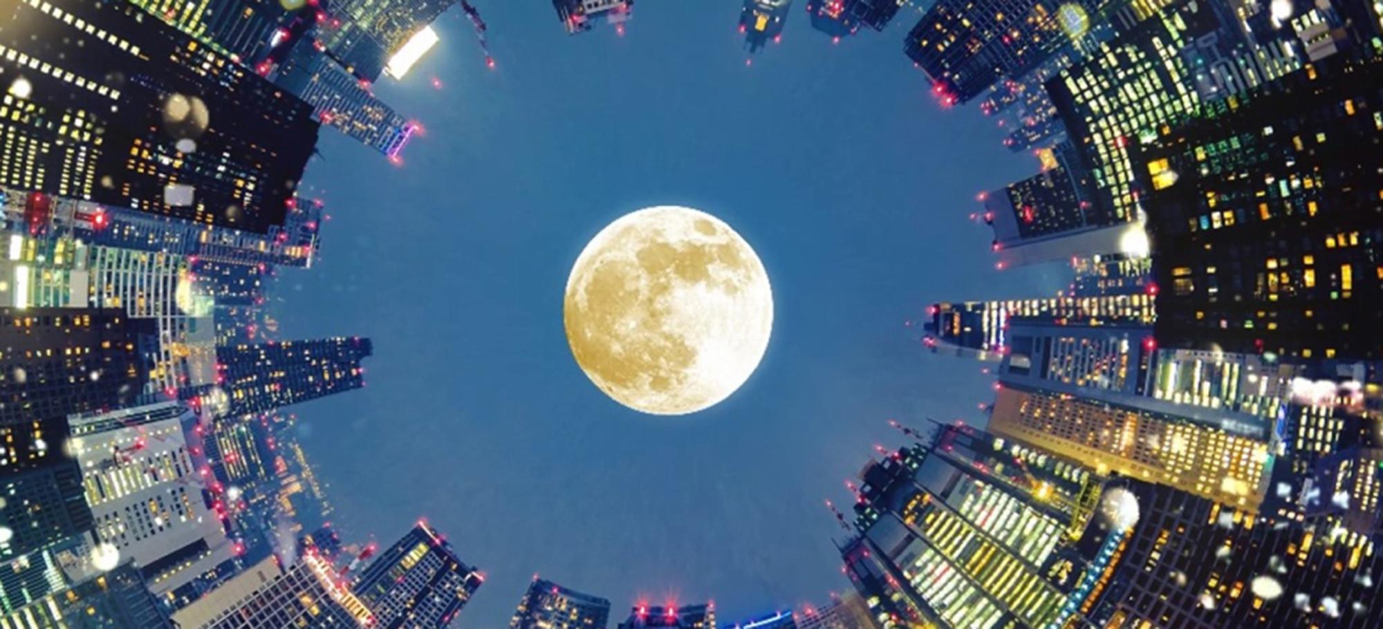 高層ビル群の夜景