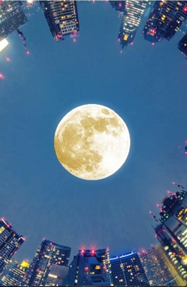 高層ビル群の夜景
