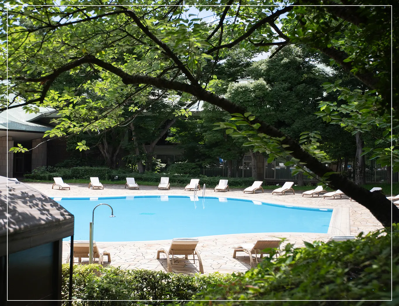 MAIN POOL