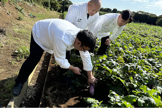 フォトギャラリー