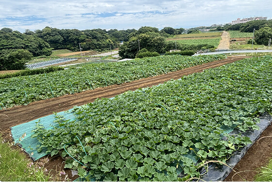 フォトギャラリー