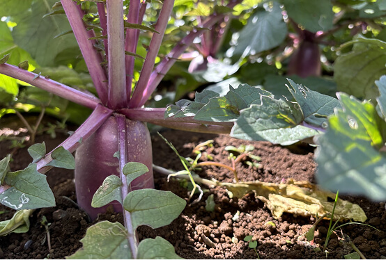 フォトギャラリー