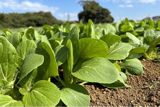 フォトギャラリー