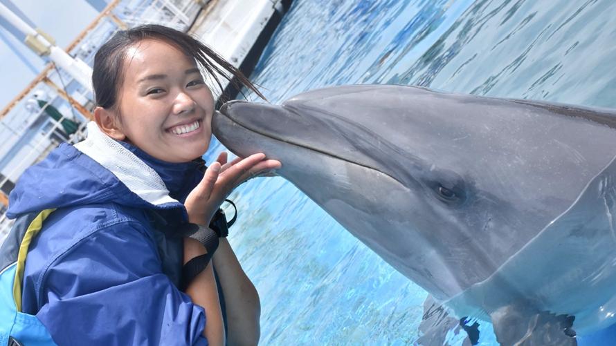 横浜・八景島シーパラダイス コラボレーション宿泊プラン