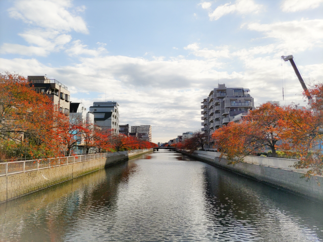大横川の水辺