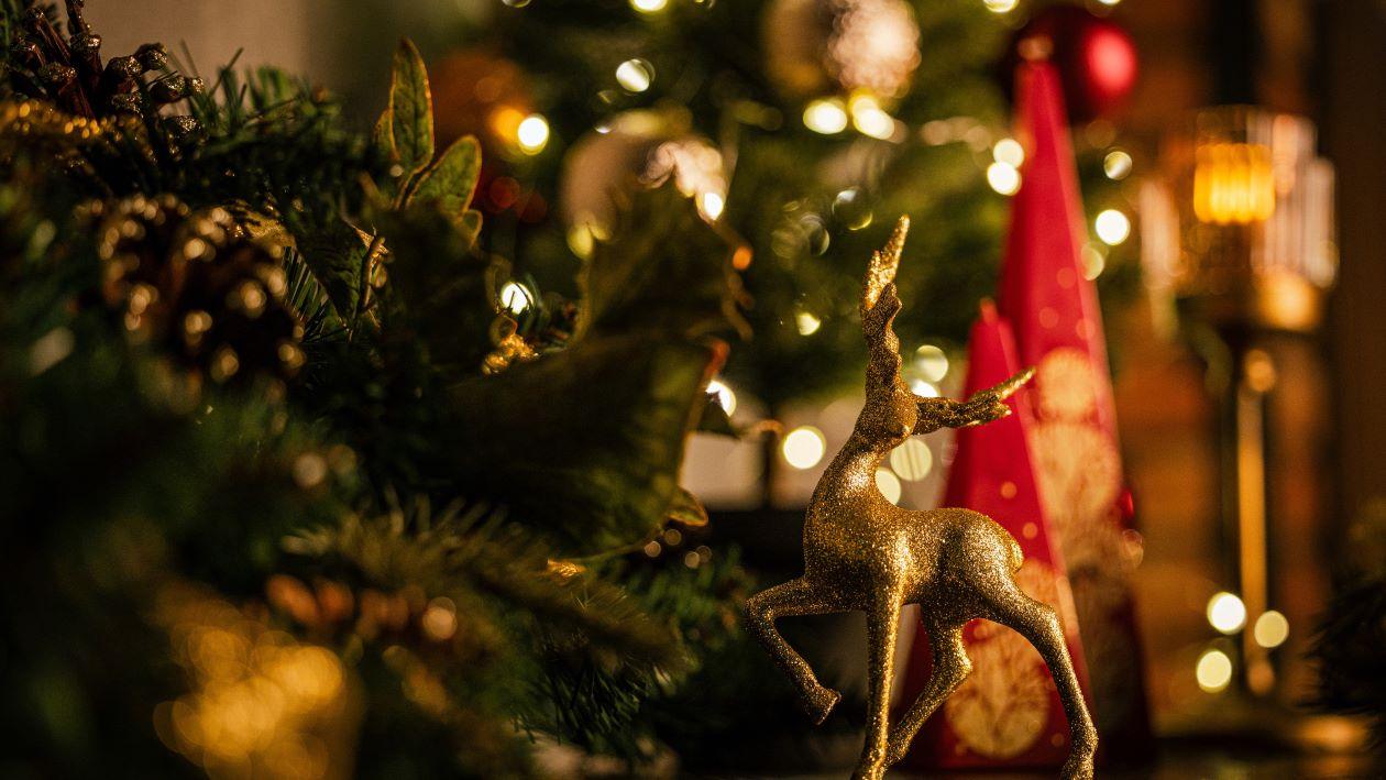 ※写真はイメージです