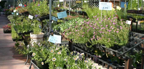 花工房らら倶楽部