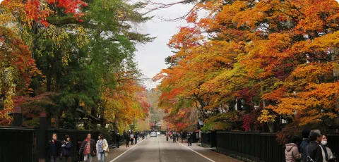 角館の紅葉