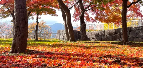 盛岡城跡公園の紅葉