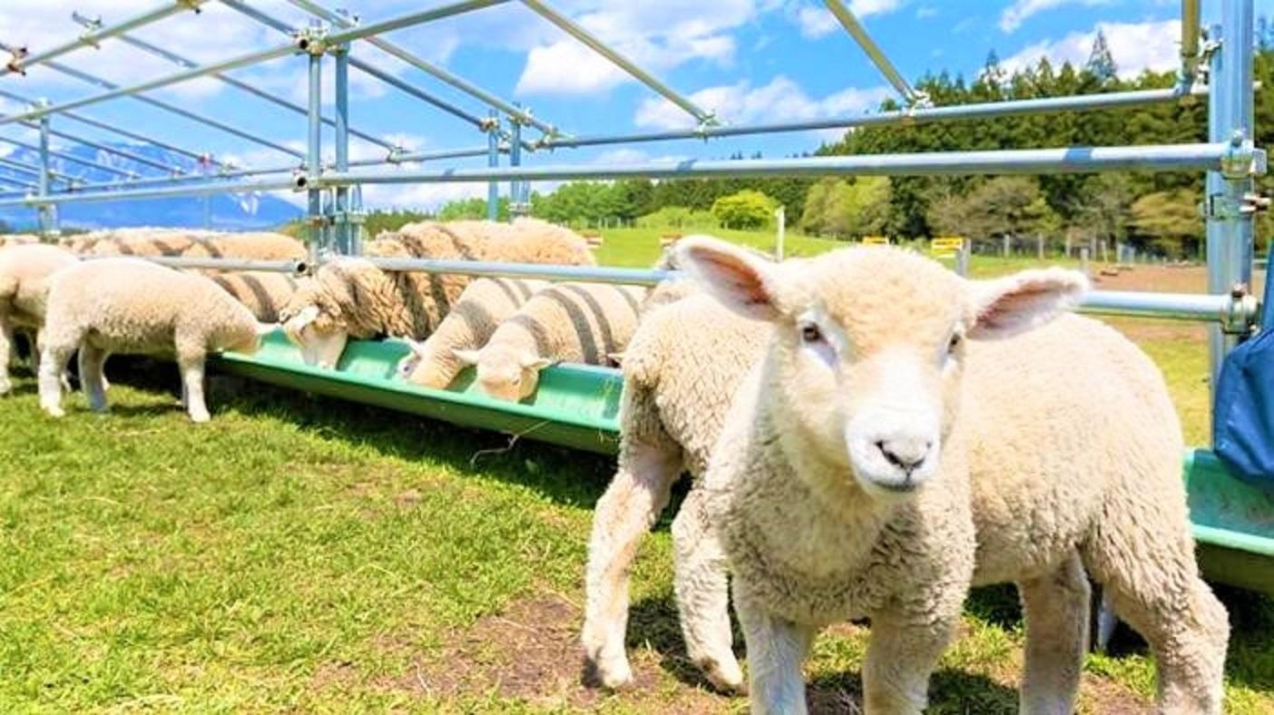 小岩井農場まきば園