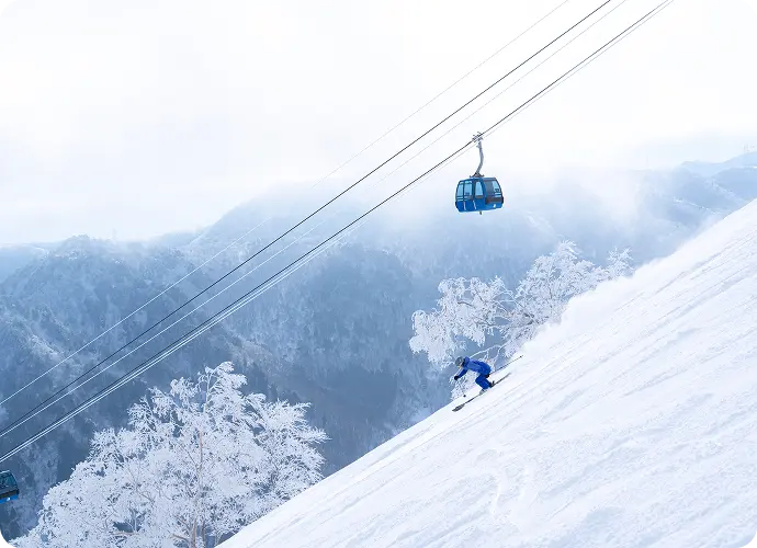 Mt. Naeba / Naeba Ski Resort