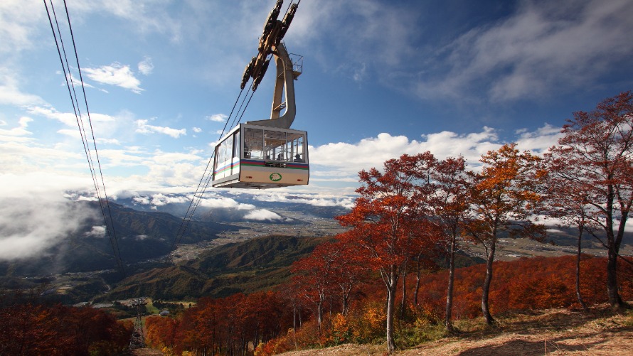 営業案内・料金イメージ