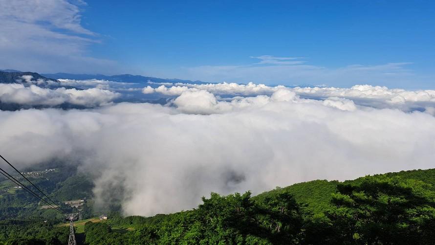 八海山ロープウェー山頂より見える雲海