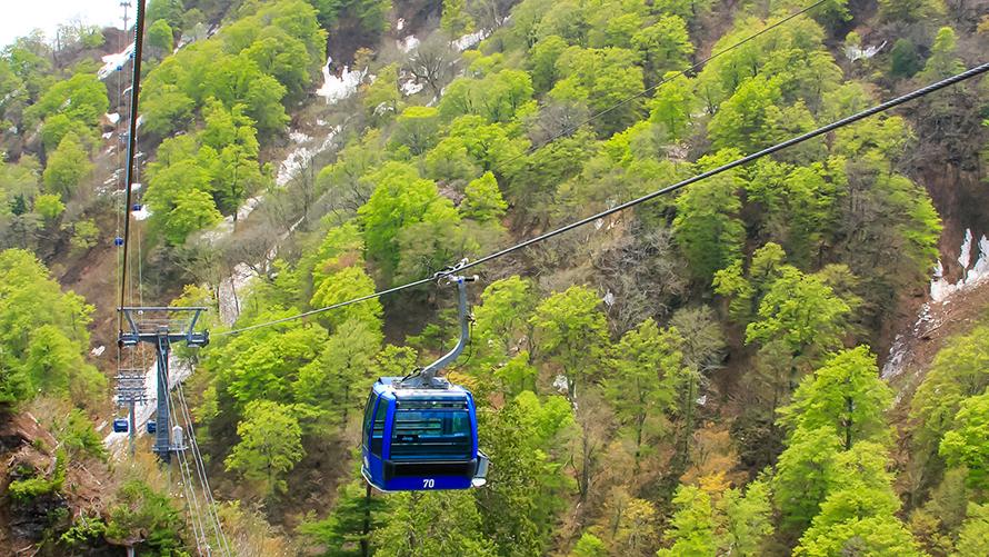 苗場ドラゴンドラ新緑観光イメージ