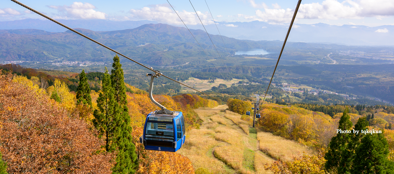 公式サイト 妙高 杉ノ原スキー場