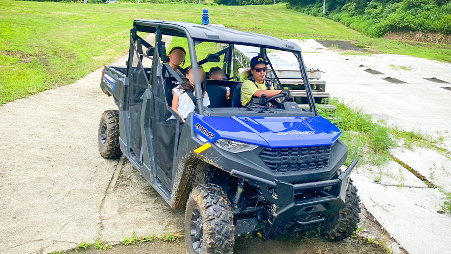 5-Passenger Buggy Cruise