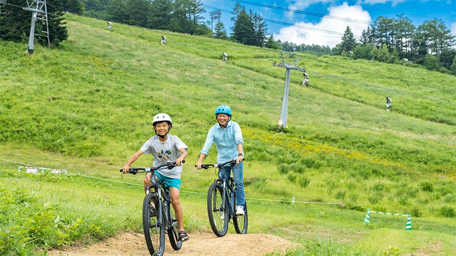 Mountain Bike