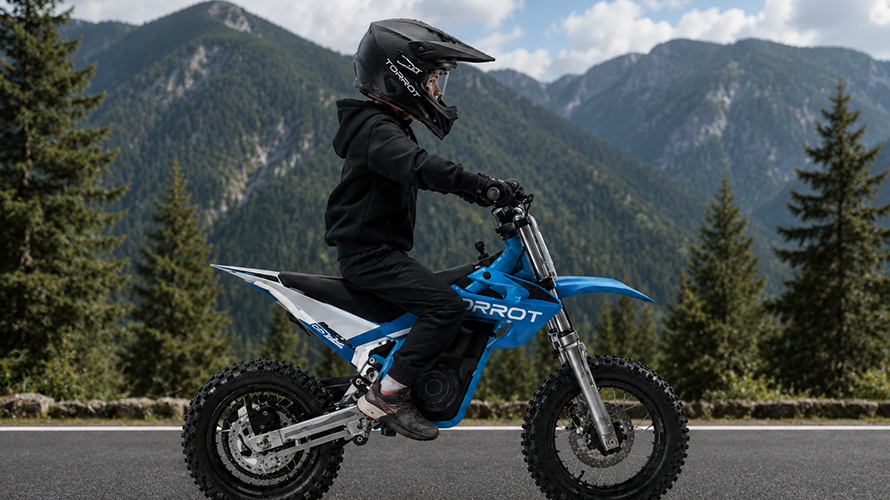 Electric Motorcycle