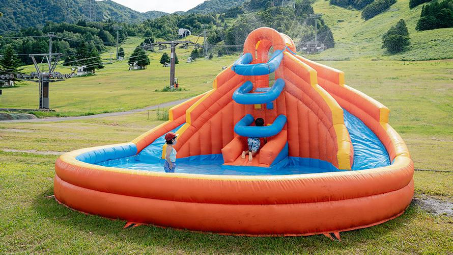 Fluffy Pool