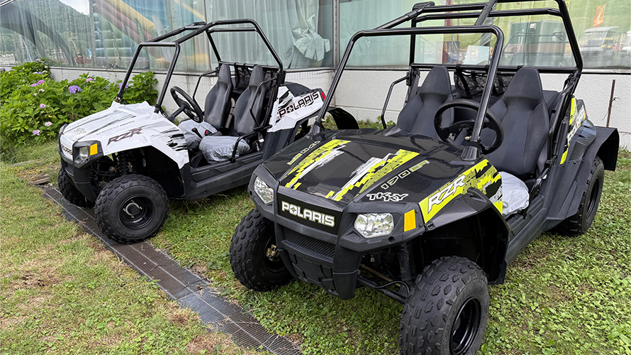 Razer Buggy